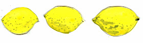 Lemon Illustration by Elizabeth Graeber