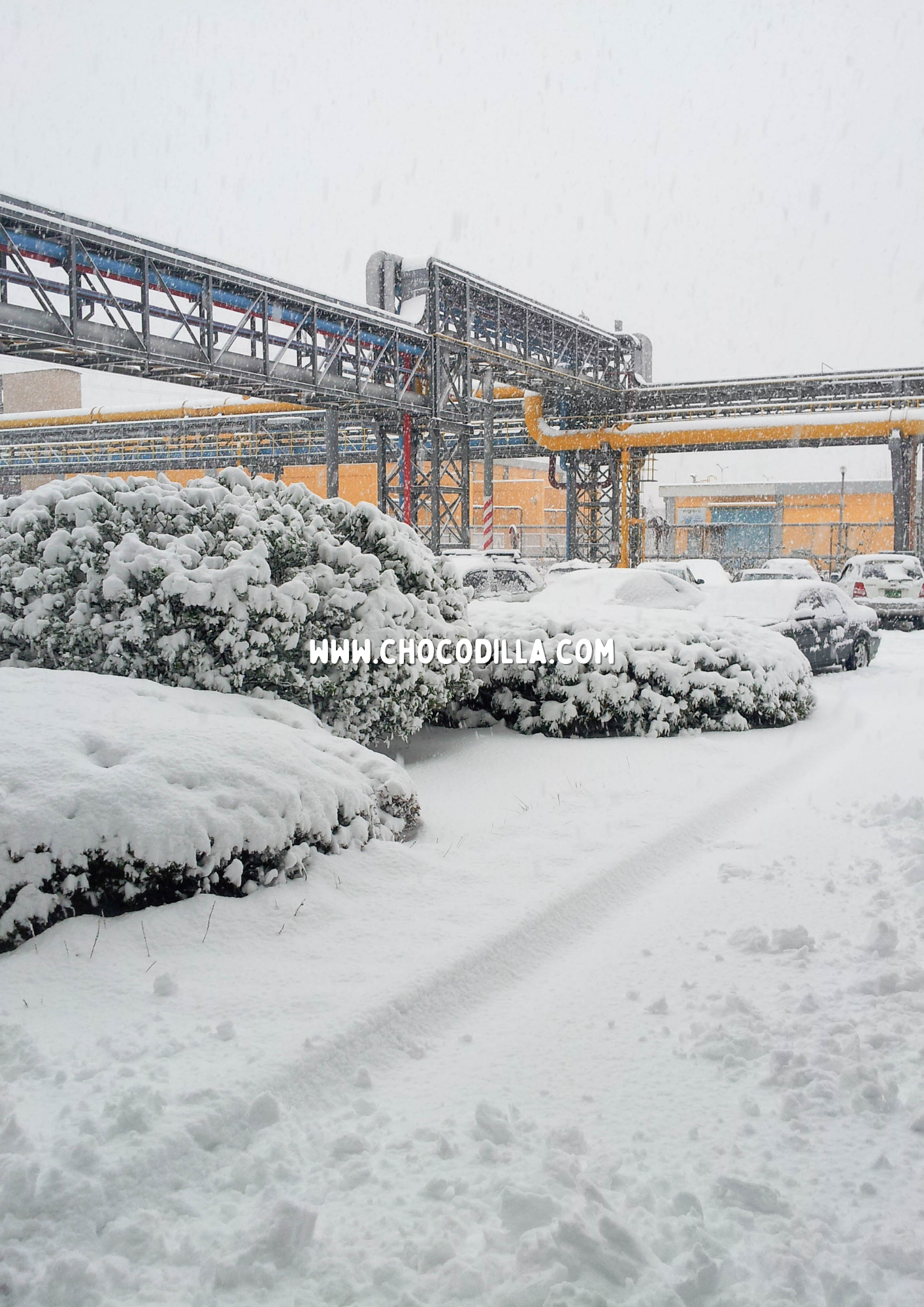 Pengalaman Pertama Kali Melihat Salju di Korea