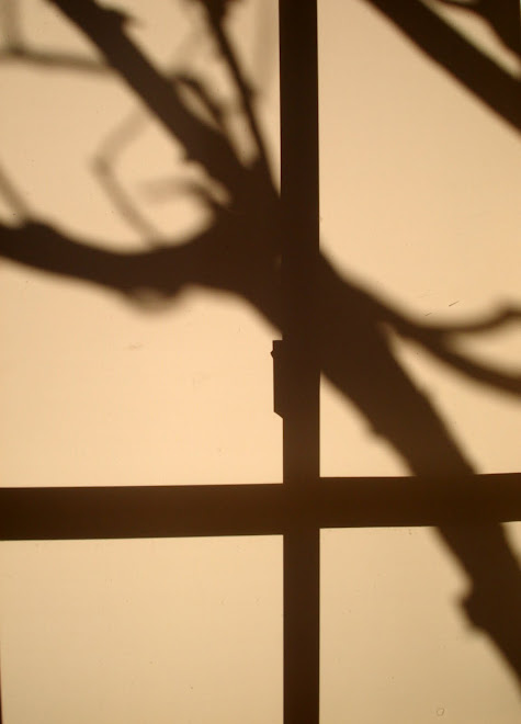 ...All the pieces were there from the beginning, but no one knew how to put them together...