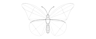 how-to-draw-butterfly-2-16