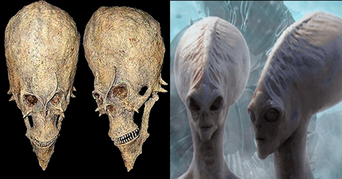    The Strange Alien Skulls Discovered in Africa Could Change The History As We Know It   