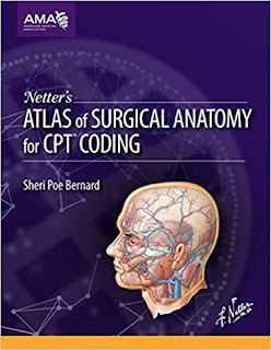 Netters Altas of Surgical Anatomy for CPT Coding