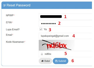 Troubleshooting Efiling Pajak Lupa Password Efiling, Lupa Email untuk Efiling atau Email Sudah Tidak Aktif