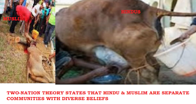 MUSLIM AND HINDUS COW BELIEFS BASE OF TWO NATION THEORY