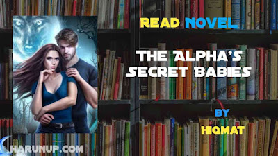 Read Novel The Alpha's Secret Babies by Hiqmat Full Episode