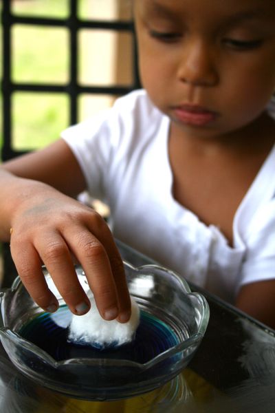 water cycle steps for kids. Preschool Water Cycle