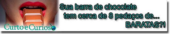 Sua barra de chocolate possui cerca de 8 pedaços de BARATAS