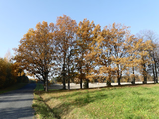 Vanaküla