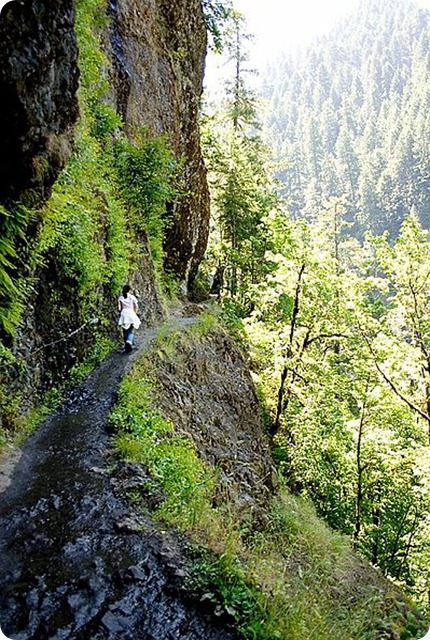 Biodiversity-Eaglecreek-28July2006