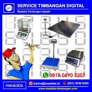 Service Timbangan Digital