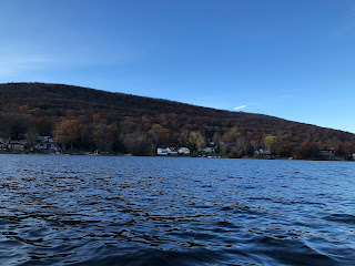 Picture of houses and trees from the water