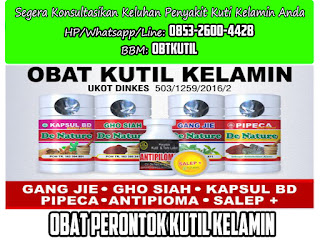 Obat Kutil Kelamin