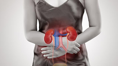 How  Do You Know if Something is Wrong With your Kidneys?