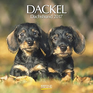 Dackel 2017: Broschürenkalender mit Ferienterminen