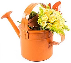 Casa de Valentina - Flora Flores - regador