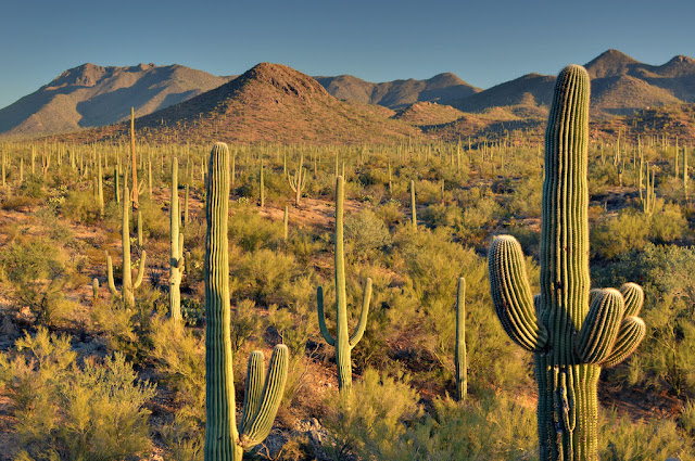 Top 10 Tourist Attractions in Arizona 2017