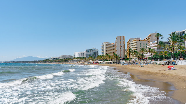 Playa con palmeras y altos edificios a su espalda, y el mar con oleaje a su frente.