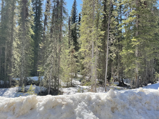 Jacques Lake, Alberta Canada