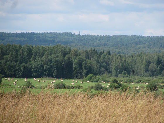 Harimäe vaatetorn Viselast