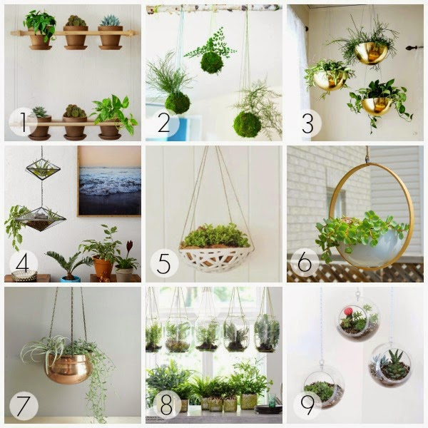 Minimal hanging planter DIY inspiration | Lindsay Eryn