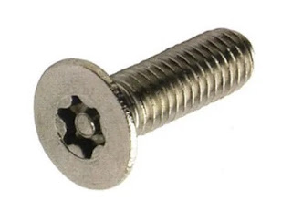 security screw