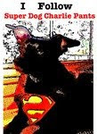 Super Dog Charlie Pants