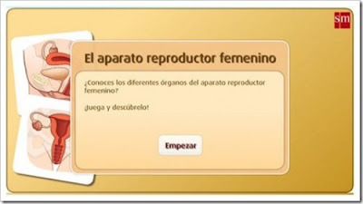 http://www.primaria.librosvivos.net/archivosCMS/3/3/16/usuarios/103294/9/6EP_Cono_cas_ud4_203/frame_prim.swf