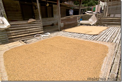 Benuk Longhouse 57