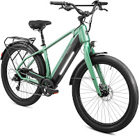 Coston DX Electric Hybrid E-Bike in green, image