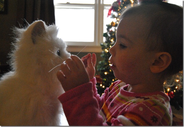 December 2011 012