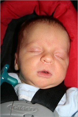 Campbell- weeks 1-3 060