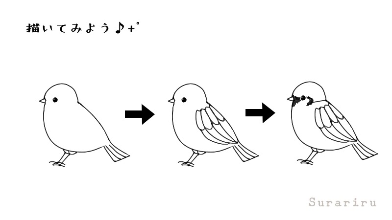 鳥のスズメ 雀 のイラストの簡単な描き方 遠北ほのかのイラストサイト 鳥のスズメ 雀 のイラストの簡単な描き方 遠北ほのかのイラストサイト