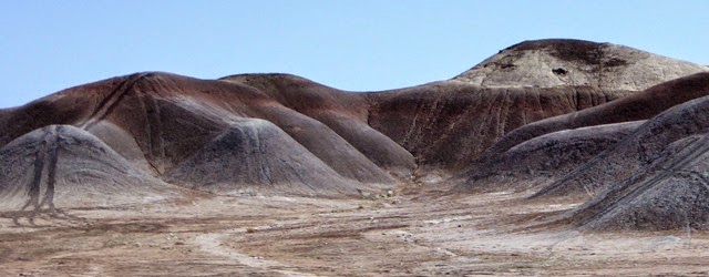 P1020977