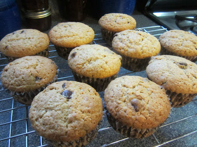 Food Lust People Love: These sour cream chocolate chip muffins are sweet but not too sweet, with fluffy insides perfectly complemented by the semi-sweet chocolate chips. Bake a batch for someone you love!