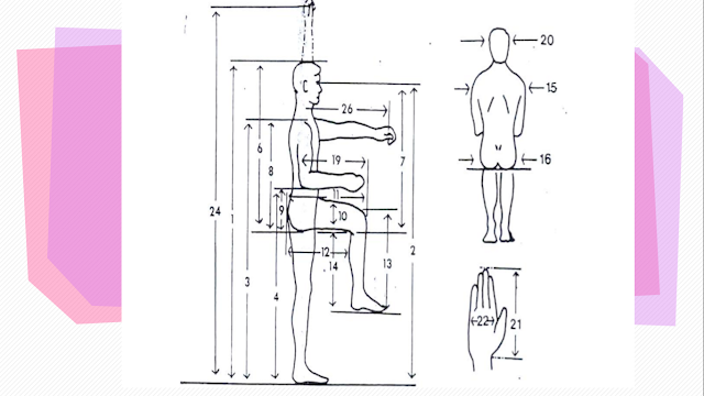 Anthropometri Tubuh Manusia yang di Ukur Dimensinya 