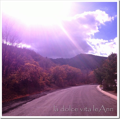 photo (28)