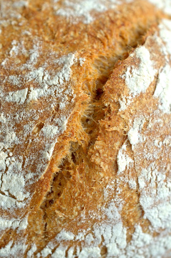 Knuspriges Dinkel-Kartoffel-Brot ist von oben und in Nahaufnahme fotografiert.