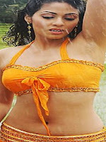 Sada Hot Navel Show