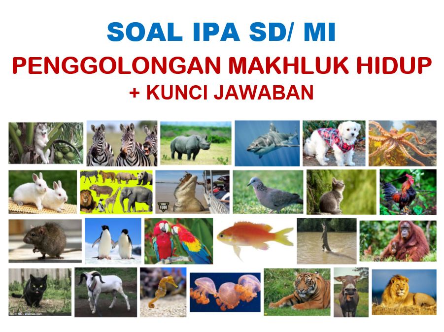 50 Soal  IPA SD Penggolongan Makhluk Hidup  Jawaban 