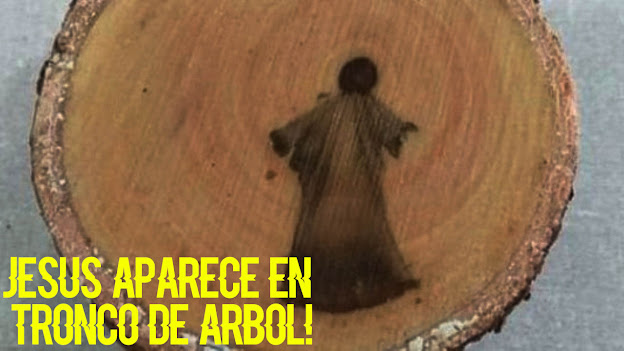 IMAGEN DE JESÚS DESCUBIERTA EN UN ÁRBOL CORTADO