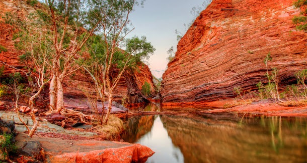 Descoberto ecossistema com 3500 milhões de anos, em Pilbara, Austrália.