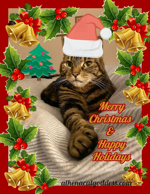 tabby cat Christmas card