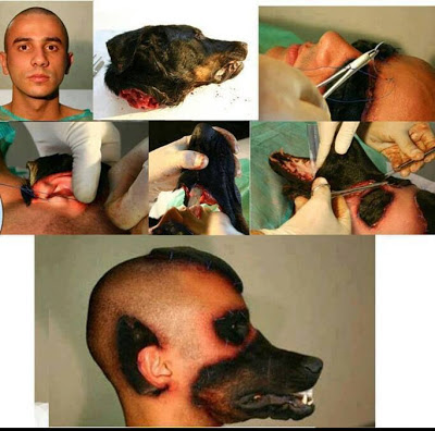 Man Turn Face To Dog Face With Plastic Surgery uwillcgossip.com