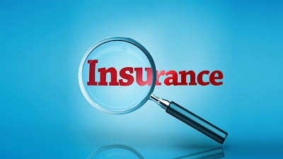 Insurance Providers Market 