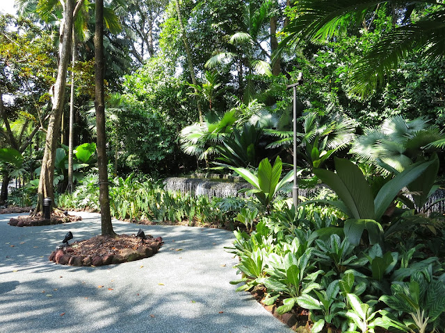 Singapore Botanic Gardens