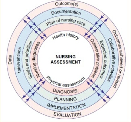 Acute Confusion Nursing Brain