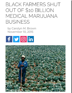 blackenterprise.com/black-farmers-shut-out-of-legal-marijuana-business/