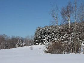 snow and blue sky