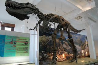 museum geologi bandung