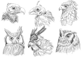 03-Owls-and-Vulture-Animal-Pencil-Drawings-Chen-Yang-www-designstack-co